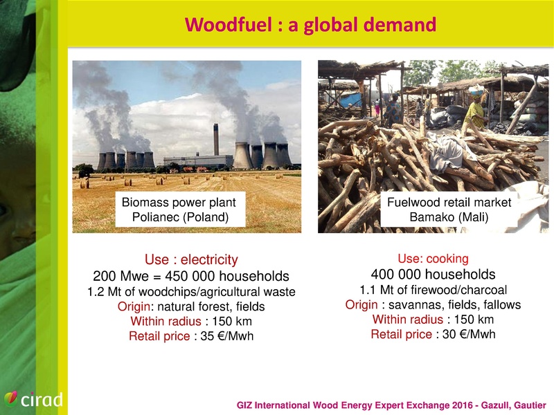 File:Woodfuel in a Global Change Context.pdf
