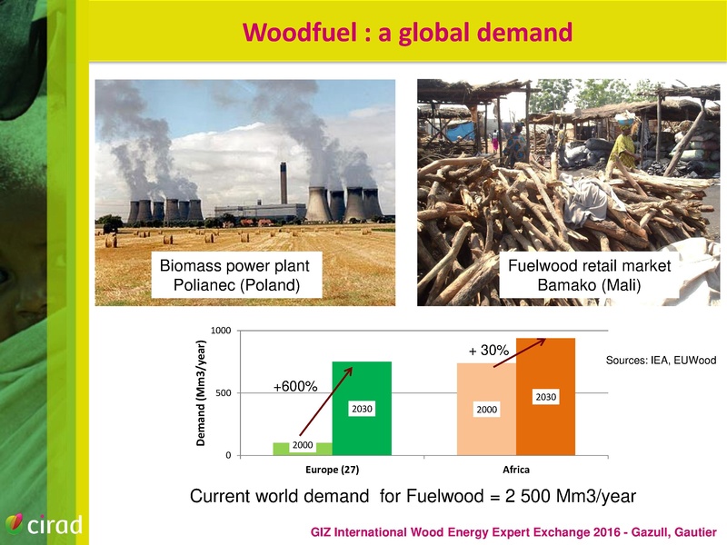 File:Woodfuel in a Global Change Context.pdf