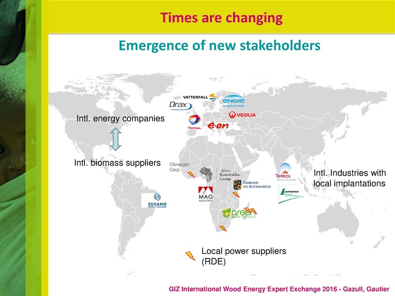 File:Woodfuel in a Global Change Context.pdf
