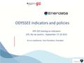 ODYSSEE Indicators and Policies.pdf