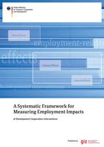 Measuring Employment Effects of Technical Cooperation Interventions - Some Methodological Guidelines.pdf