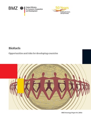 Biofuels Opportunity and Risks for Developing Countries.pdf