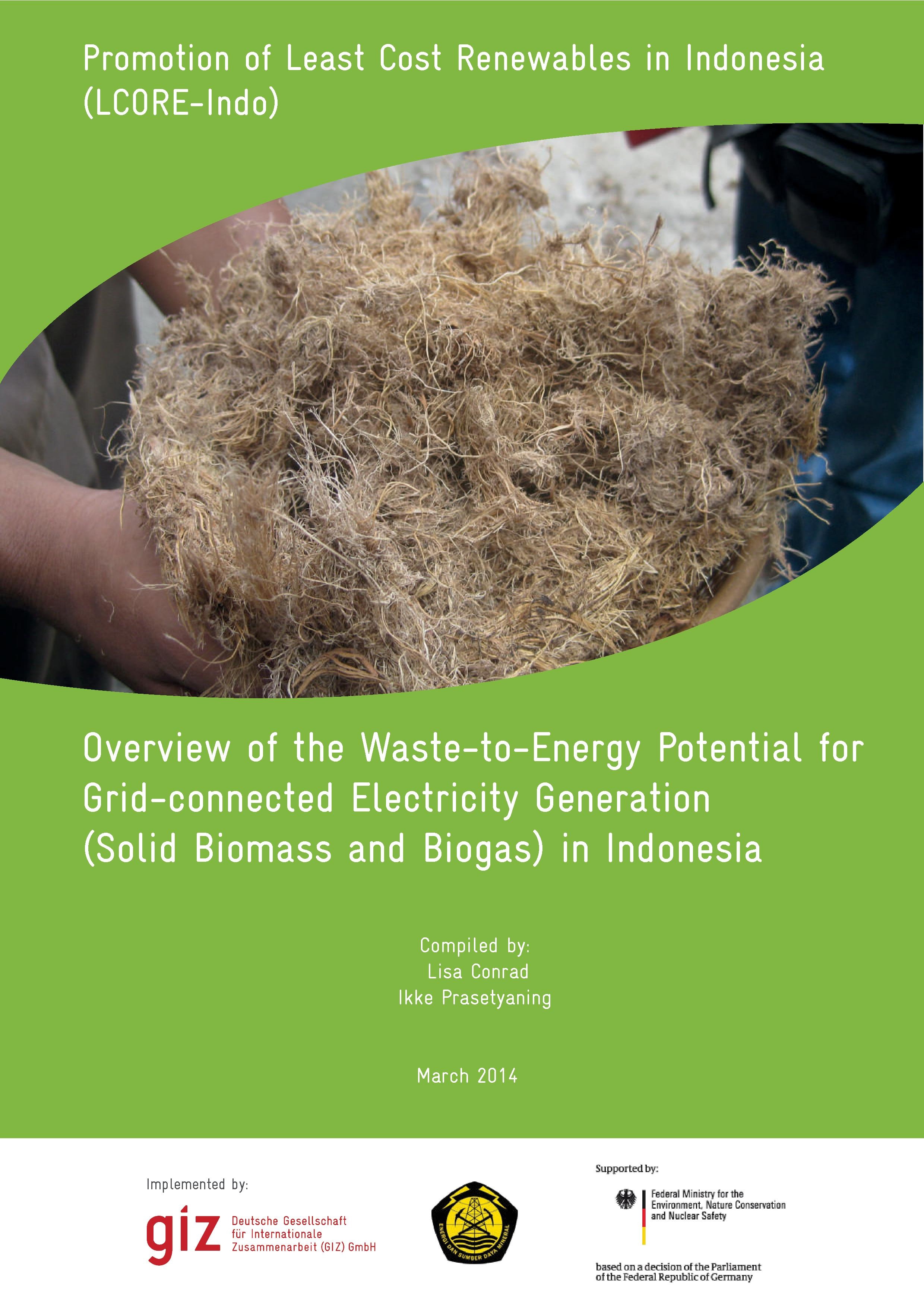 Overview of the Waste-to-Energy Potential for Grid-connected Electricity Generation (Solid Biomass and Biogas) in Indonesia