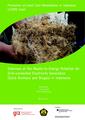 Biomass Potential Indosian Agroindustry.pdf