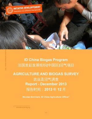 China Biogas Program - Agroculture and Biogas Suvey.pdf