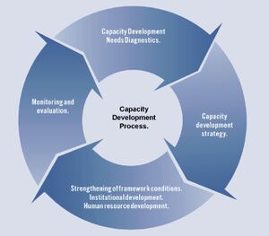 Capacity Development Process CaDRE.jpg
