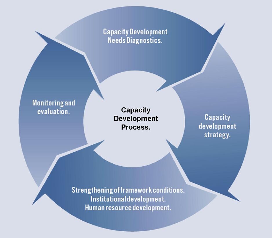 Capacity Needs Diagnostics for Renewable Energies (CaDRE) - energypedia