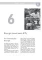 PT-Energia neutra em CO2-Movimento Gaia.pdf