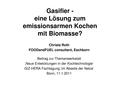 GIZ Im Abseits der Netze 012011 - Gasifier Roth.pdf