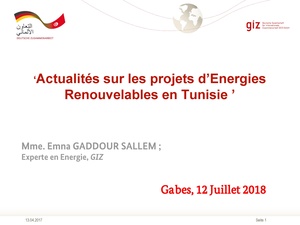 Actualités ERs Tunisie.pdf