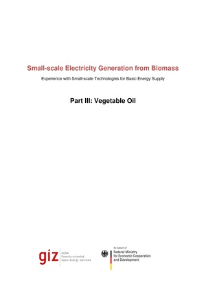 Small-scale Electricity Generation From Biomass Part-3.pdf