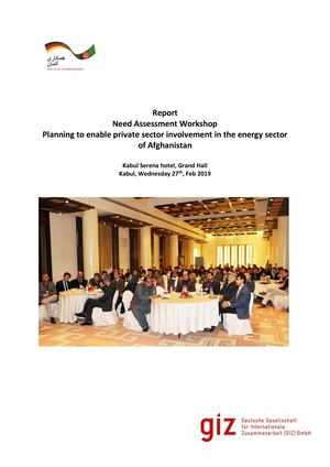 ESIP-Report of Private sector planning workshop-May 2019.pdf