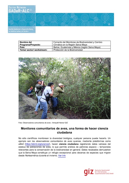 File:P-Global-MonitoresComunitarios.pdf