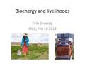 Bioenergy and livelihoods.pdf