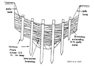 BrushwoodCheckdam.png