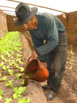 Farmer using fertilizer produced by his own tube digester Bolivia.JPG
