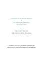 Report MHP WS2010-final.pdf