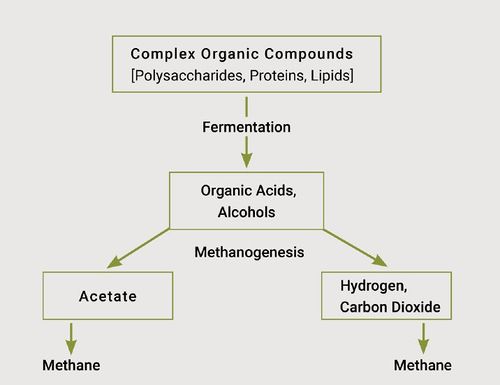 Methane formation process