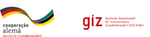 GIZ-BMZ logo.png