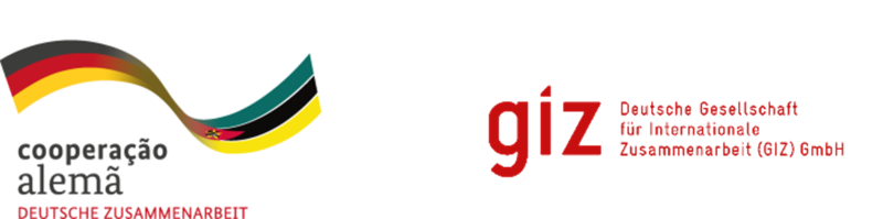 GIZ-BMZ logo.png