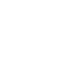 Icon-energy-efficiency-white.svg