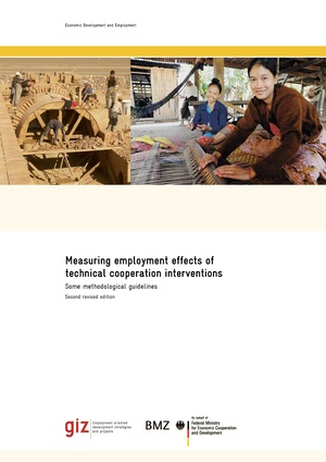 Measuring Employment Effects of Technical Cooperation Interventions - Some Methodological Guidelines.pdf