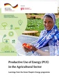 GBE Knowledge Product Productive Use of Energy in the Agricultural Sector GIZ 2024.pdf
