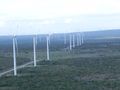 Wind park in Rio Grande do Norte-State (Brazil).jpg