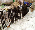 GIZ Messinger dung-dried Bangladesh 2010.jpg