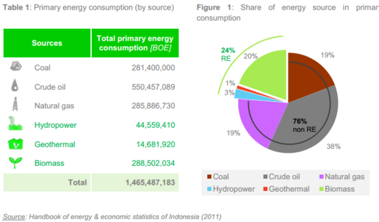 Primary energy consumption in Indonesia