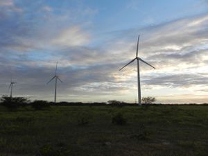 Wind park in Rio Grande do Norte-State (Brazil) 2.jpg