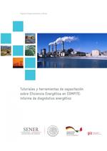 GIZ Formato Informe DE 2015.pdf