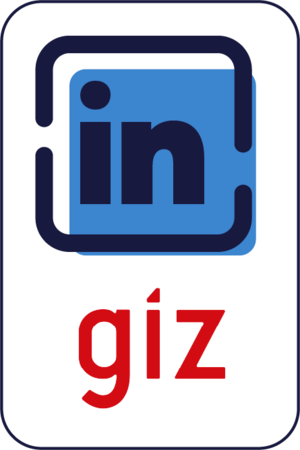 Linkedin giz.png