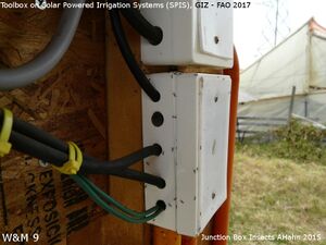 Junction Box insects AHahn 2015.jpg