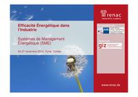Systèmes de Management Énergétique (SME)