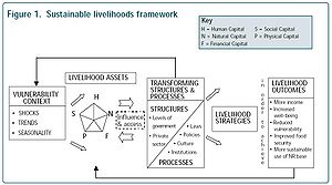 DFID SL-Framework.JPG