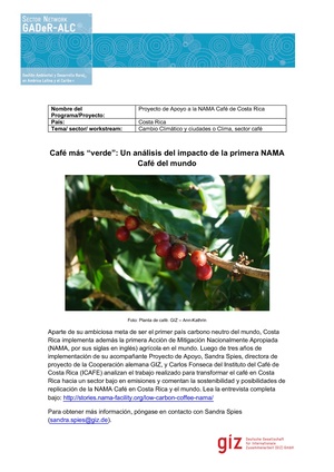 P-Costa-Rica-Cafe.pdf