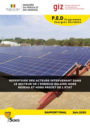 Cadre politique Rapport final SEMIS FINALE REPERTOIRE DES ACTEURS.pdf