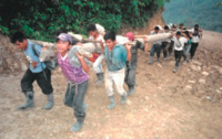 Gua 25- Local Workers Carrying Construction Materials for the Micro-Hydroelectric Plant in Chel.PNG