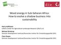 Wood Energy in Sub-Saharan Africa - How to Evolve a Shadow Business into Sustainability.pdf
