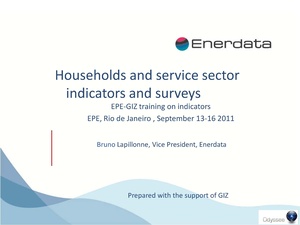 Households and Service Sector Indicators and Surveys.pdf