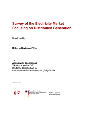 Electricity Market in Brazil focusing on Distributed Generation.pdf