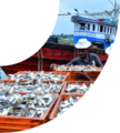 Thumbnail for version as of 04:29, 2 June 2026
