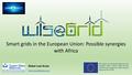 Smart Grids in the European Union - Possible Synergies with Africa.pdf