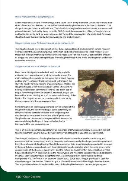 File:Biodigester Market Assesment in Somalia- Publication (With profiles) 2.pdf