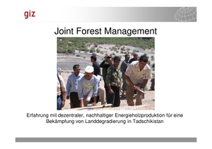 GIZ Im Abseits der Netze 012011 TW3d 3 Joint Forest Management Fabianx.pdf