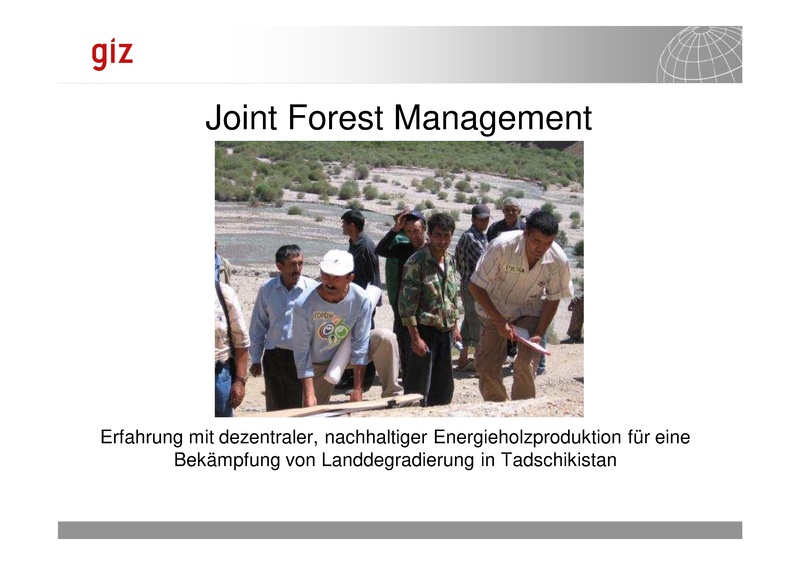 File:GIZ Im Abseits der Netze 012011 TW3d 3 Joint Forest Management Fabianx.pdf
