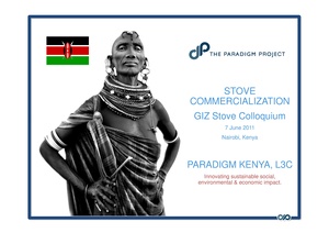 The Paradigm Project - Stove Commercialization.pdf