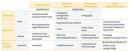 Unified Bioenergy Terminology.jpg