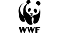 Thumbnail for version as of 04:36, 2 June 2026
